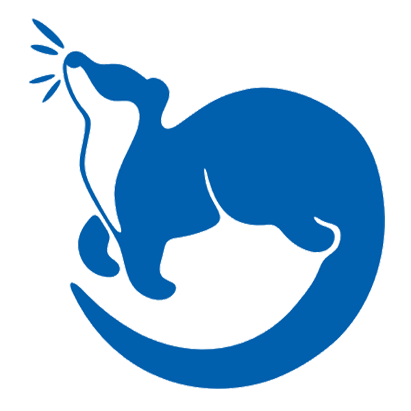 team graphic for the South Oakland Family YMCA River Otters Swim Team