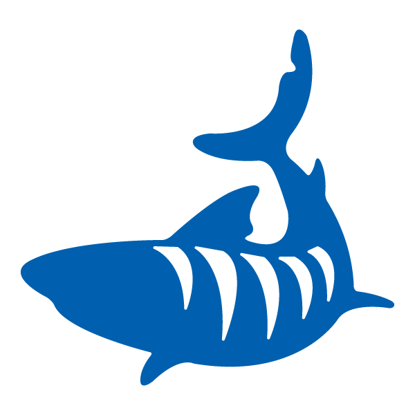 Tiger Sharks novice swim team graphic