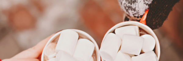 Family Fun- Winter Playtime